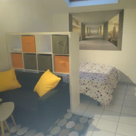 Appartement Studio Centre Ville *